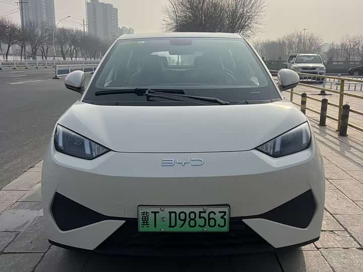 Фото 2 - BYD Seagull