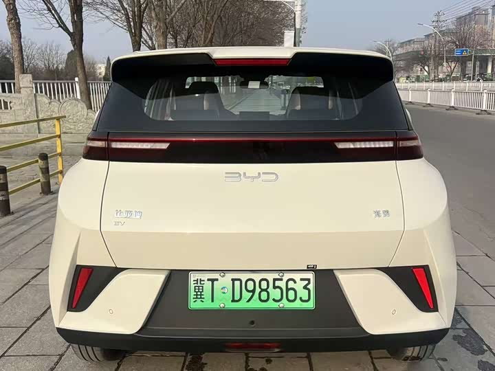 Фото 3 - BYD Seagull