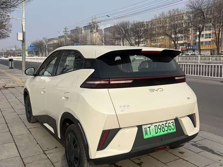 Фото 4 - BYD Seagull