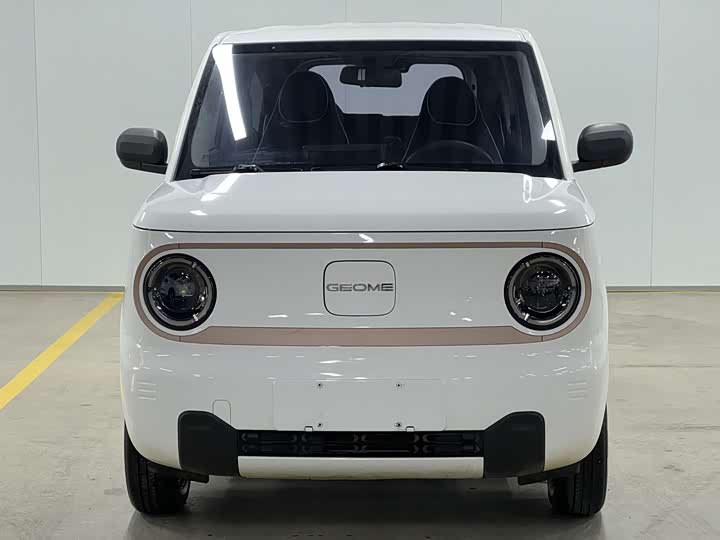 Фото 2 - Geely Galaxy Panda Mini