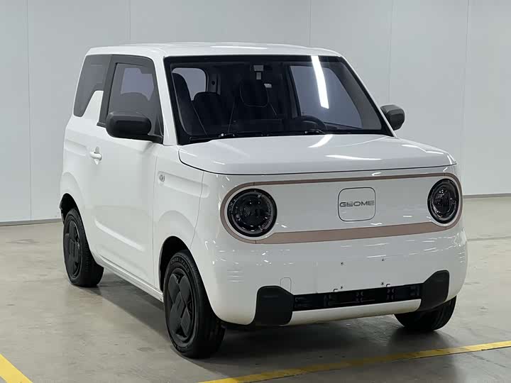 Фото 3 - Geely Galaxy Panda Mini