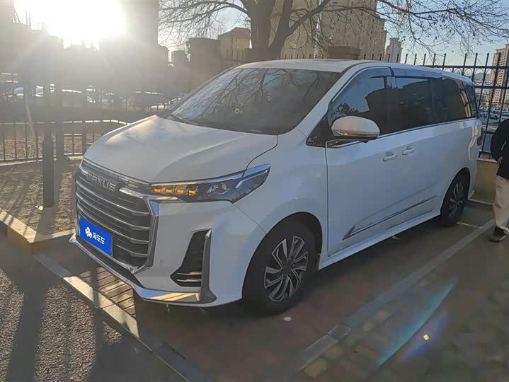 Фото 1 - Maxus G20