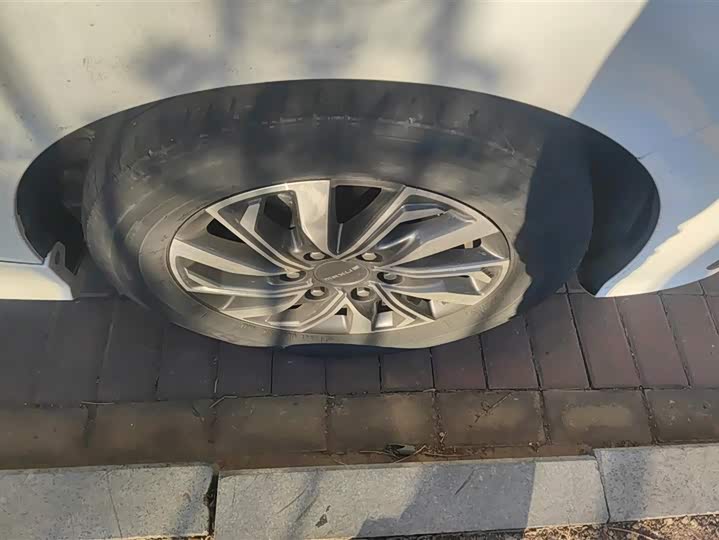 Фото 6 - Maxus G20