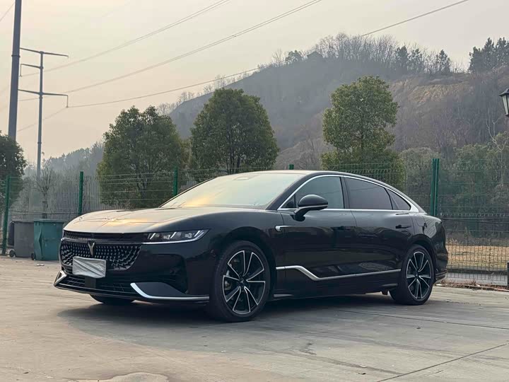 Фото 1 - Voyah Passion