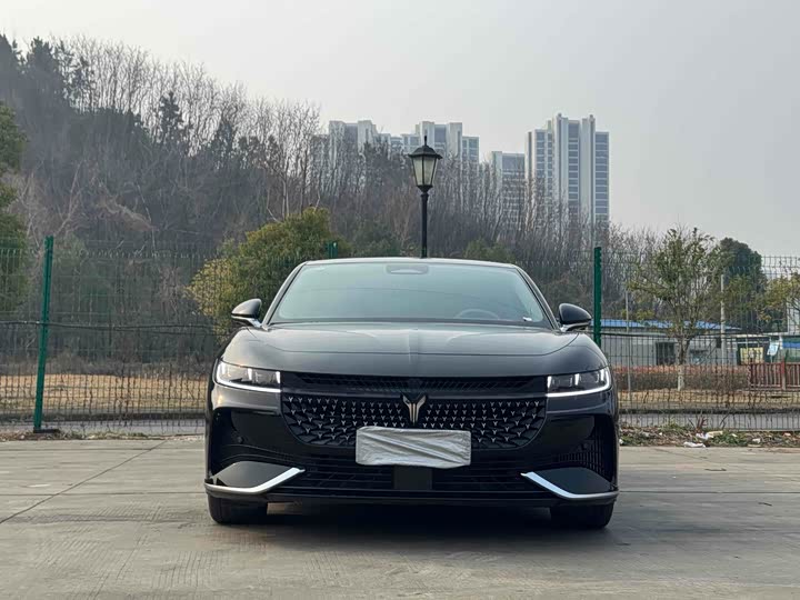 Фото 2 - Voyah Passion