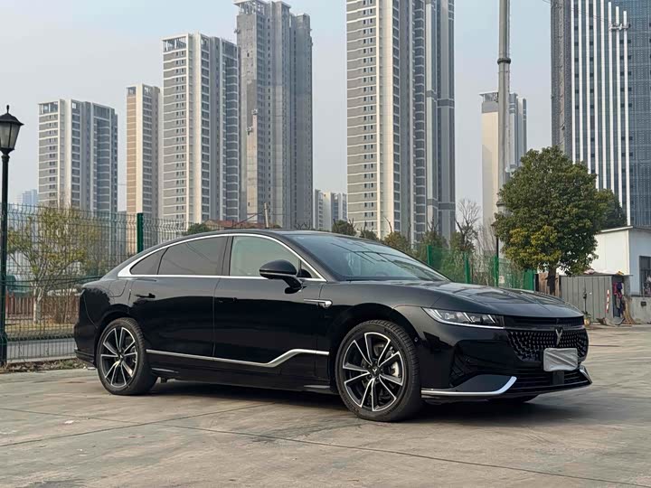 Фото 3 - Voyah Passion