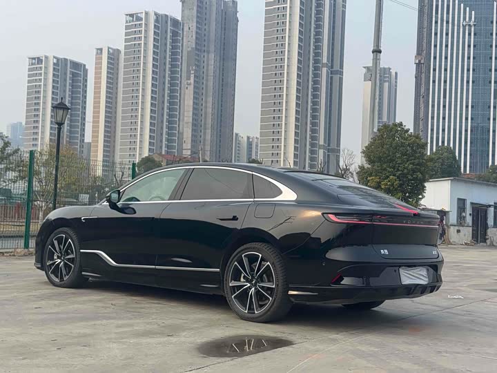 Фото 4 - Voyah Passion