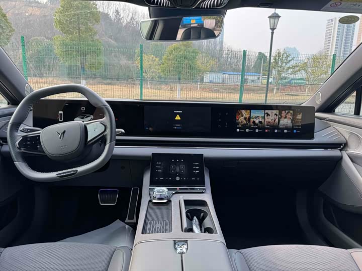 Фото 7 - Voyah Passion