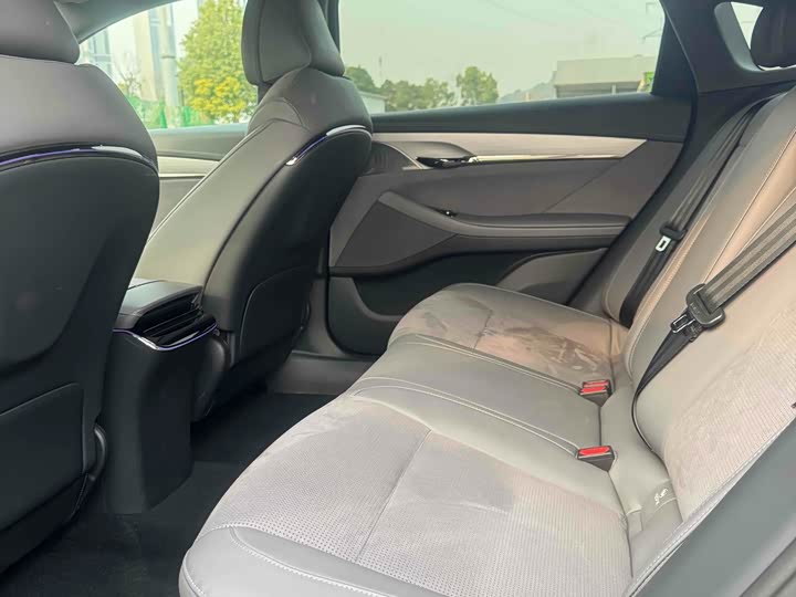 Фото 9 - Voyah Passion