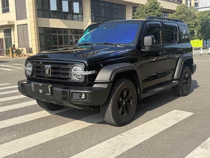 Фото 1 - Tank 300