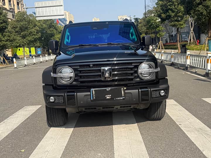 Фото 2 - Tank 300