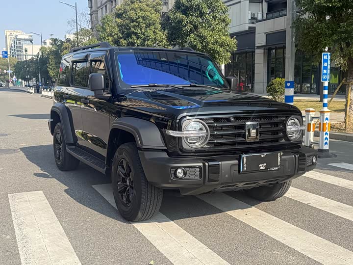 Фото 3 - Tank 300