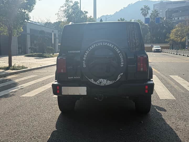 Фото 5 - Tank 300