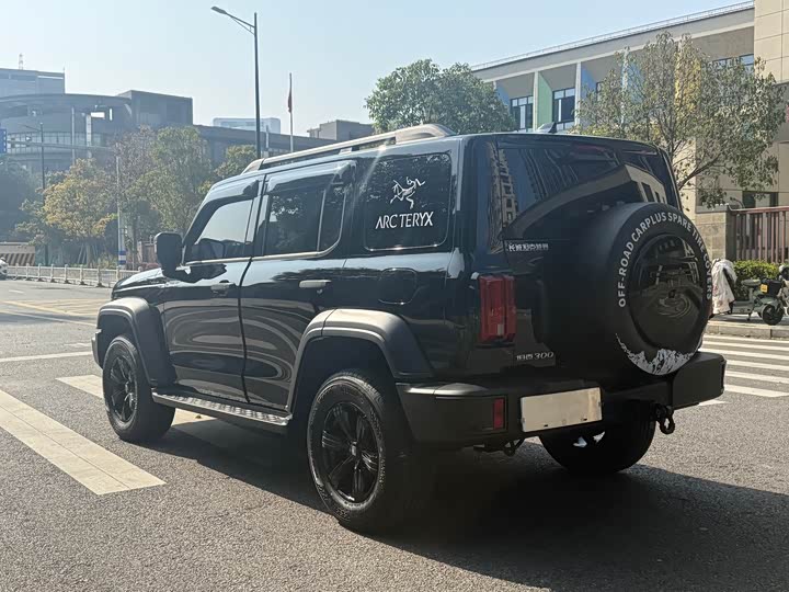 Фото 6 - Tank 300