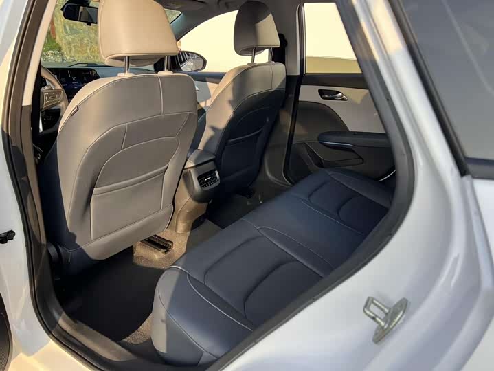 Фото 7 - Chevrolet Monza