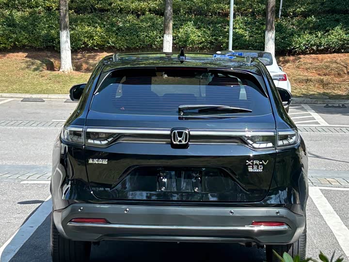 Фото 5 - Honda XR-V
