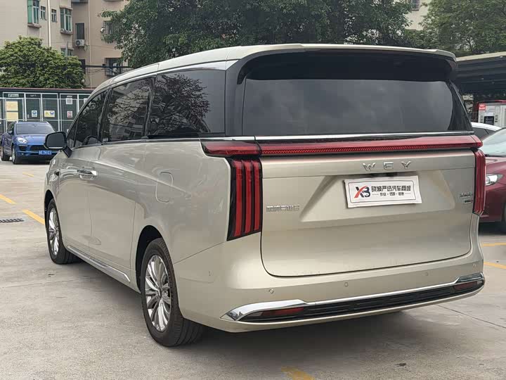 Фото 4 - Wey Gaoshan