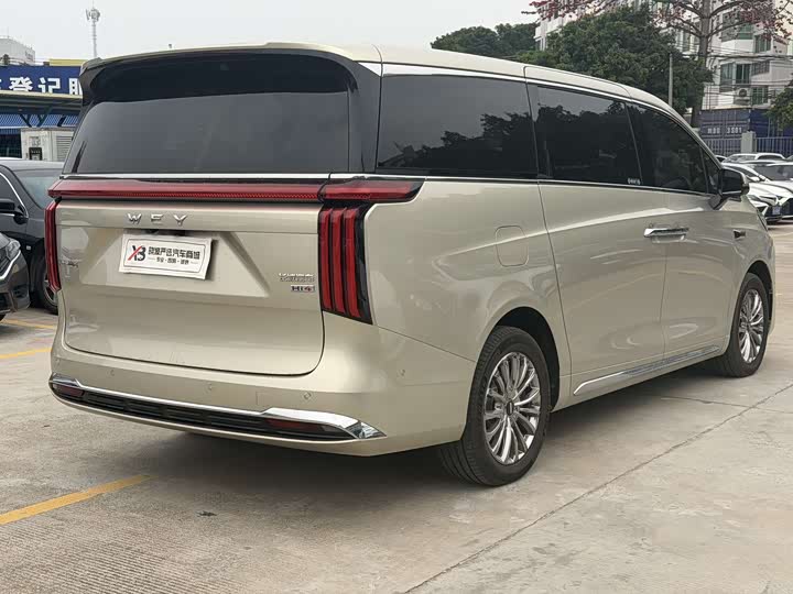 Фото 5 - Wey Gaoshan