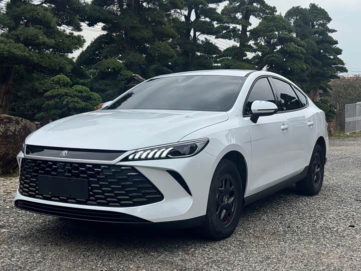 Фото 1 - BYD Qin Plus