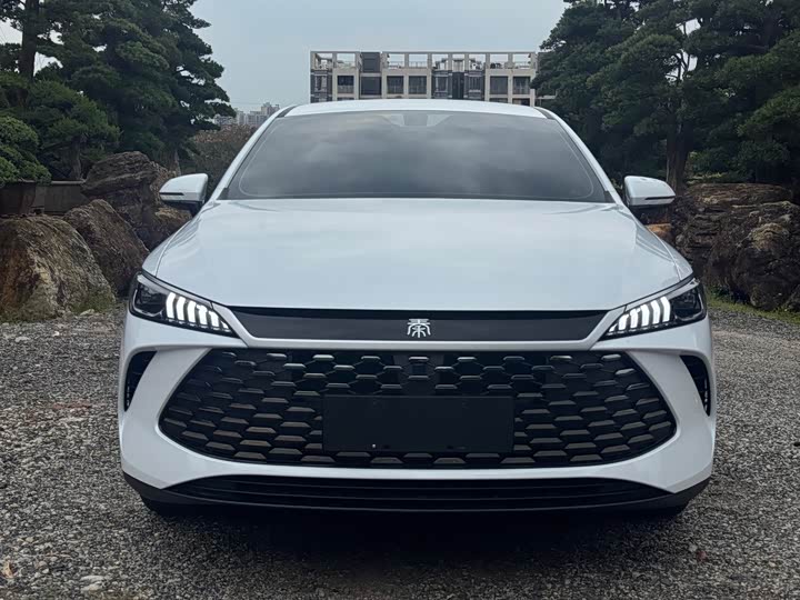 Фото 3 - BYD Qin Plus