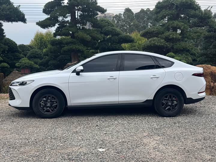 Фото 4 - BYD Qin Plus