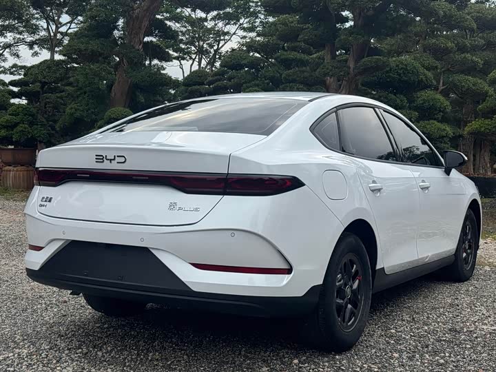 Фото 6 - BYD Qin Plus