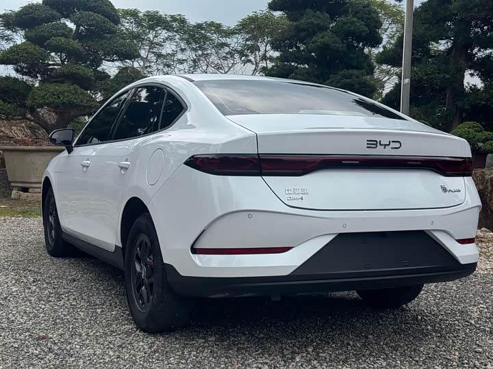 Фото 7 - BYD Qin Plus