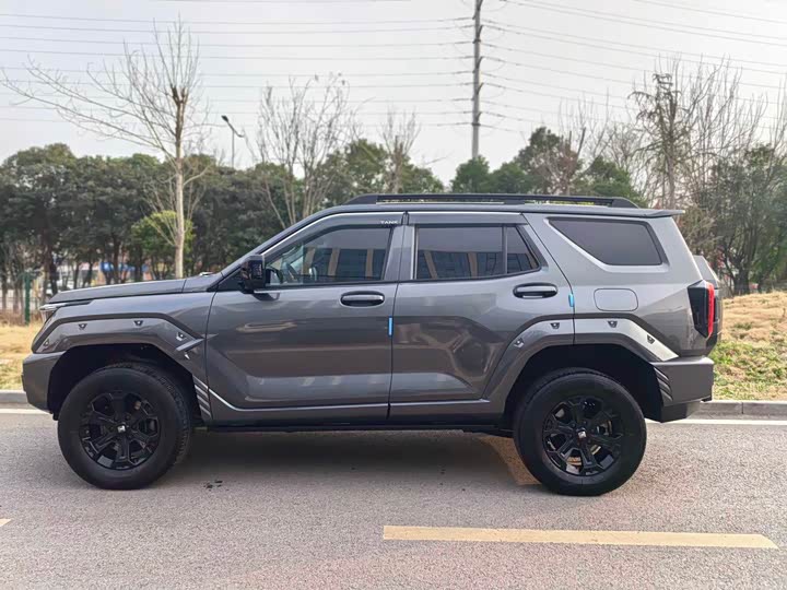 Photo 4 - Tank 400 Hybrid