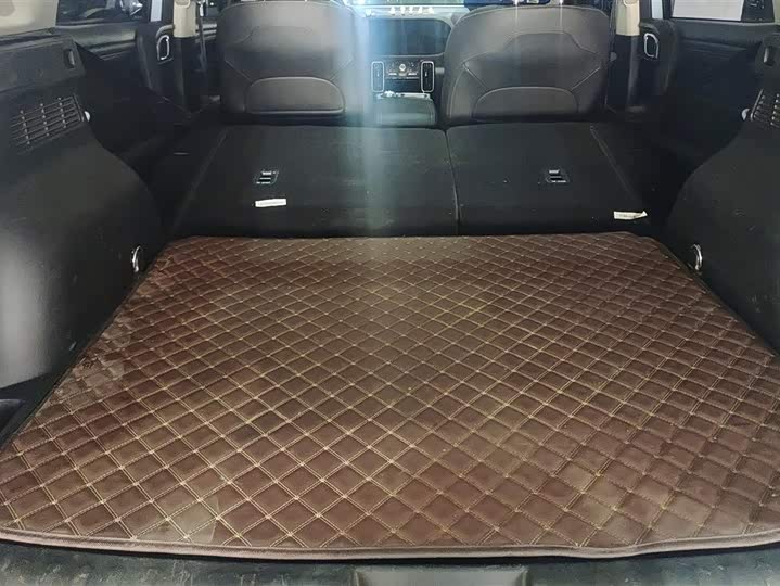 Photo 4 - Haval Dargo