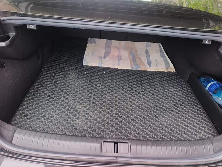 Фото 4 - Volkswagen Magotan GTE Hybrid