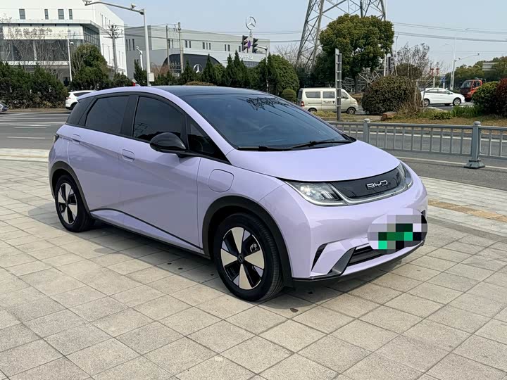 Фото 3 - BYD Dolphin