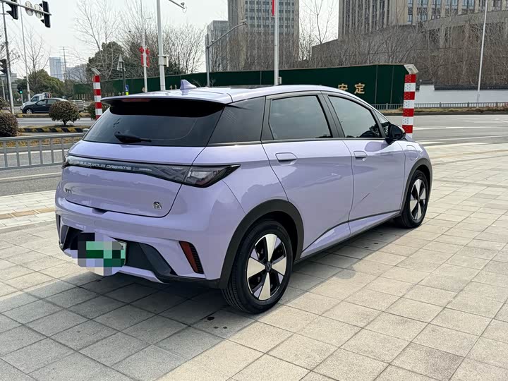 Фото 4 - BYD Dolphin