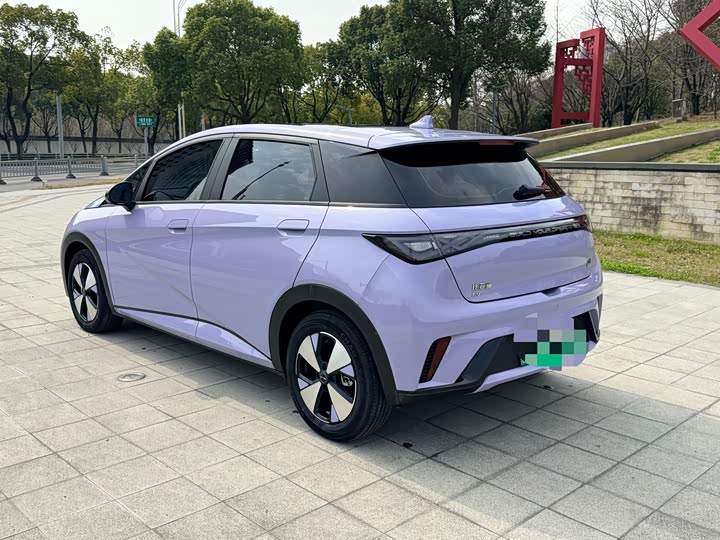 Фото 6 - BYD Dolphin