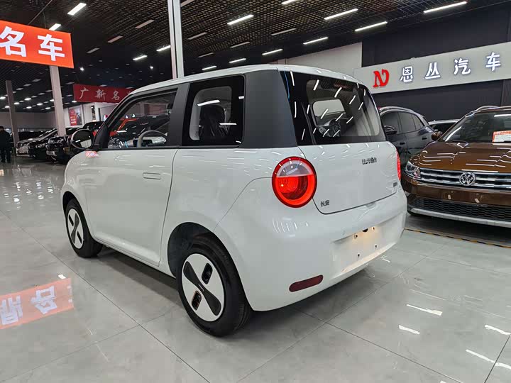Photo 7 - Changan Qiyuan (Nevo) Lumin