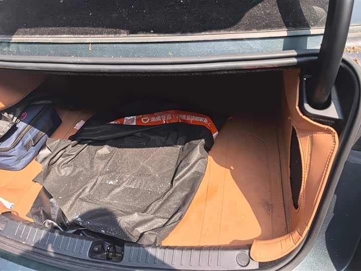 Фото 4 - BYD Han L