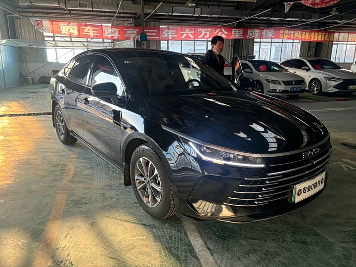 Фото 2 - BYD Destroyer 05