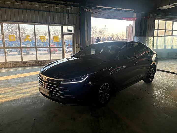 Фото 3 - BYD Destroyer 05