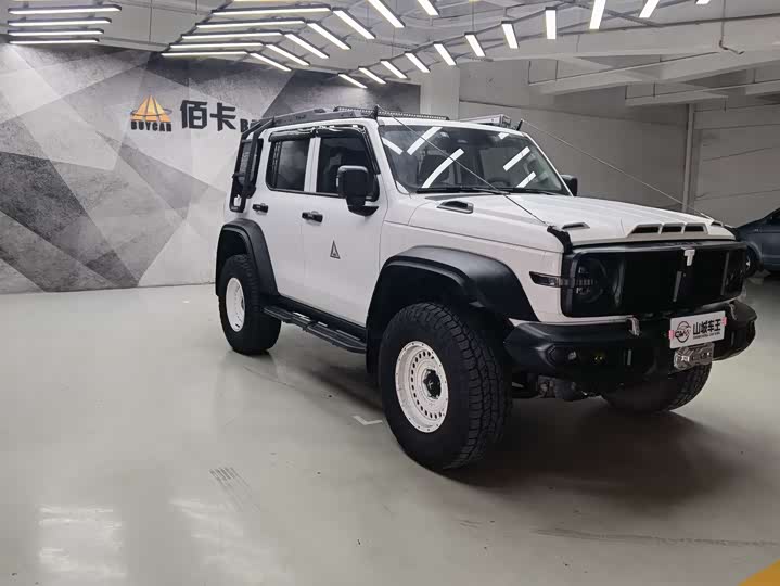 Фото 5 - Tank 300