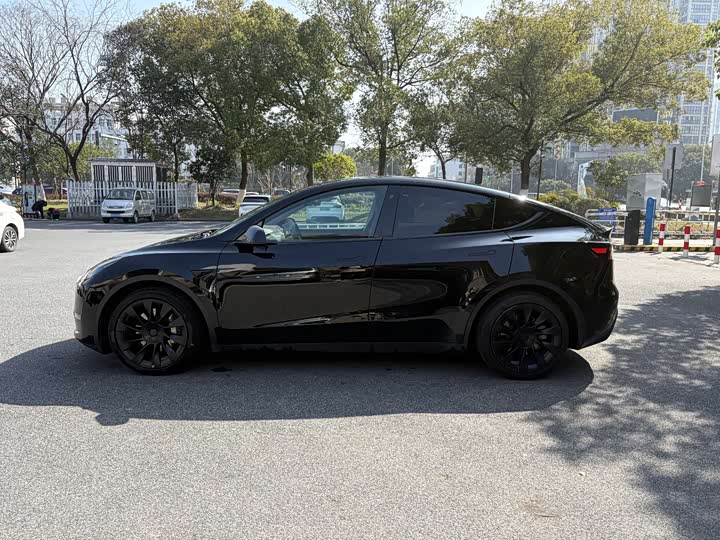 Фото 4 - Tesla Model Y