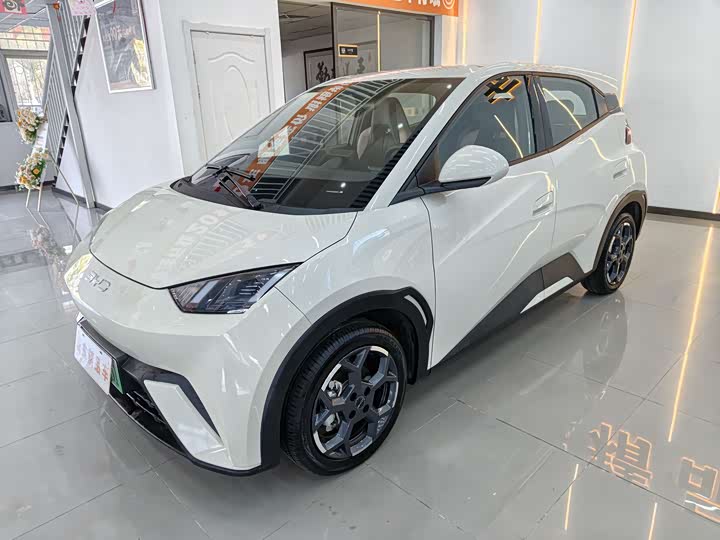 Фото 1 - BYD Seagull