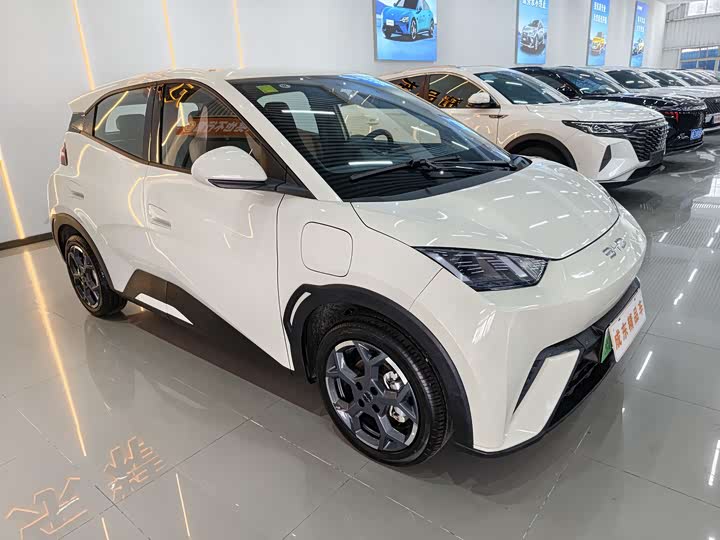 Фото 3 - BYD Seagull