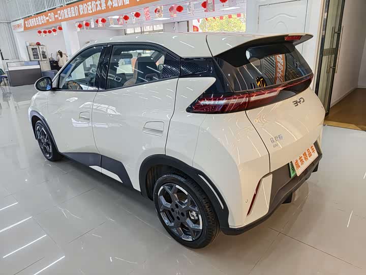 Фото 4 - BYD Seagull