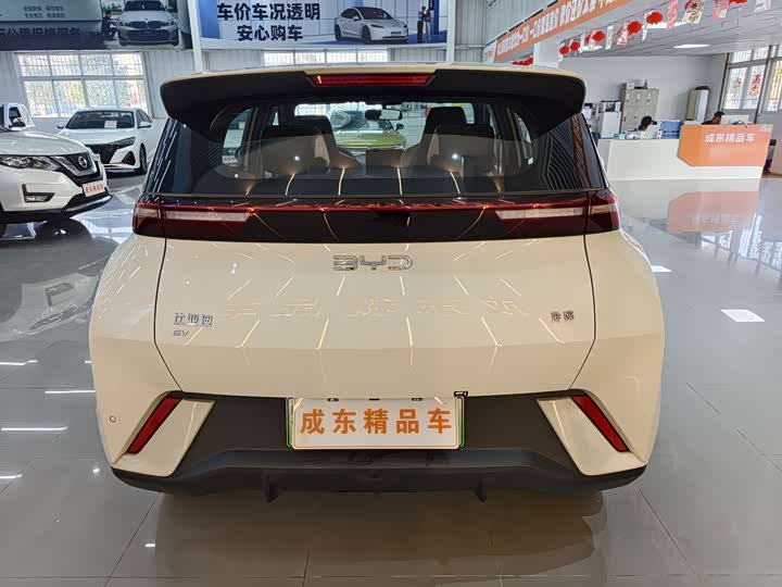 Фото 5 - BYD Seagull