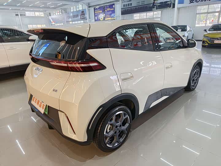 Фото 6 - BYD Seagull