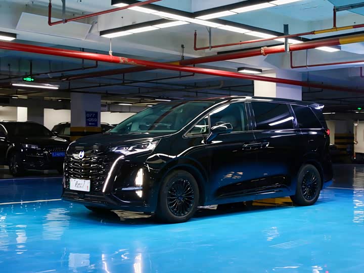 Фото 1 - Denza D9