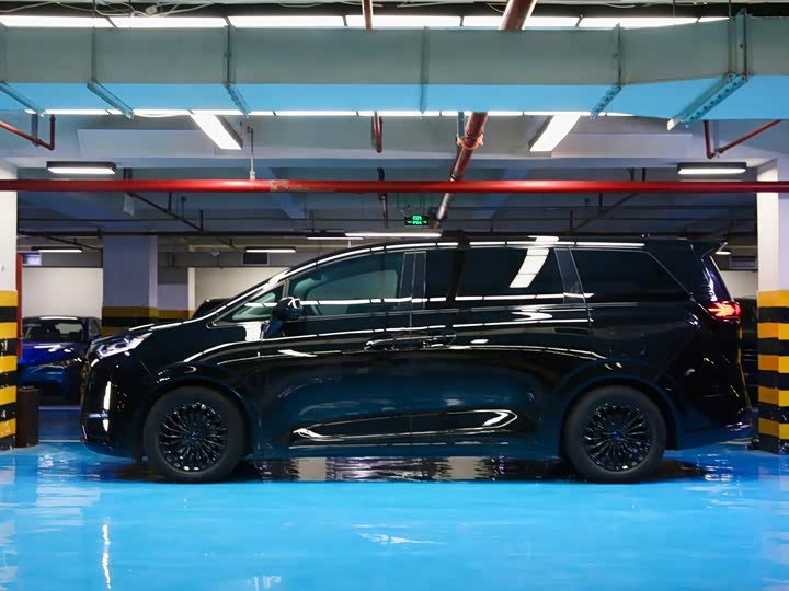 Фото 2 - Denza D9