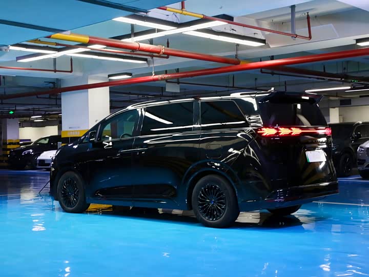 Фото 3 - Denza D9