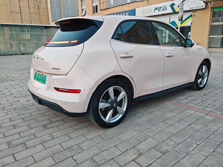 Photo 5 - Ora Good Cat (03)