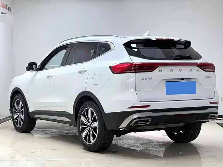 Фото 9 - Haval H6
