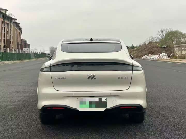 Фото 8 - IM motors LS6